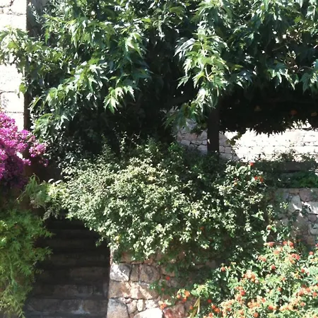 Traditional Corsican House With Private Swimming Pool Villa